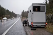Redaktionell illustration till Hästtransport fick punktering på väg 40