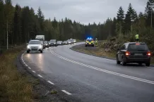 Redaktionell illustration till Viltolycka begränsar trafiken på väg 51